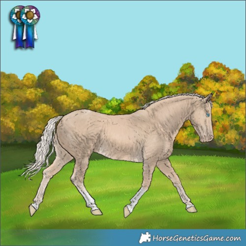 Horse Color:Cremello Tobiano