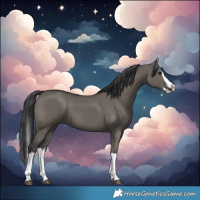 Horse Color:Grullo Sabino Splash 