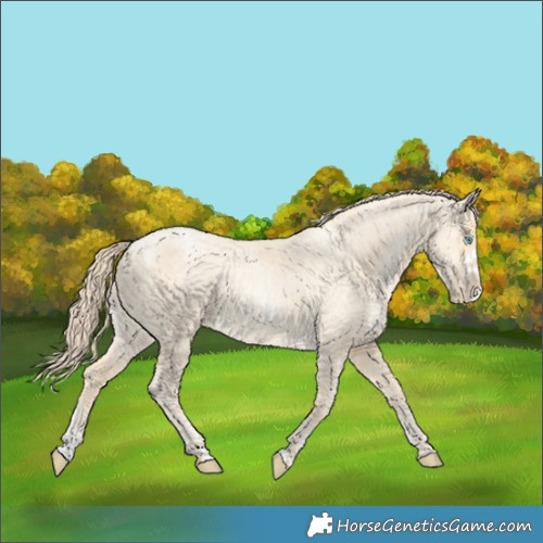 Horse Color:Powder White Sable Cream Champagne Pearl Dun Merle Frame 
