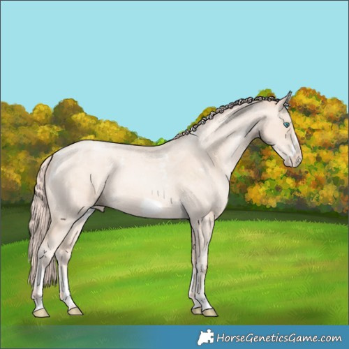 Horse Color:Powder White Sable Cream Champagne Pearl Merle Frame 