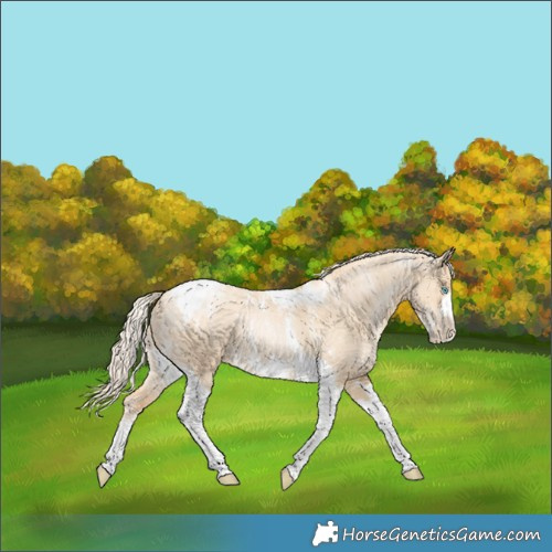Horse Color:Powder White Gold Cream Champagne Pearl Dun Tobiano Frame 
