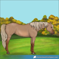 Horse Color:Red Dun 