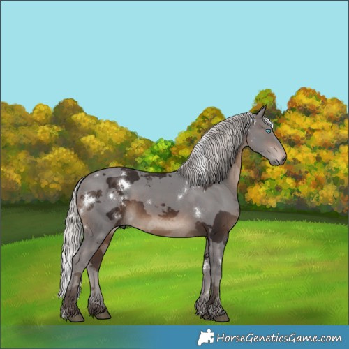 Horse Color:White Spotted Silver Brown Merle 