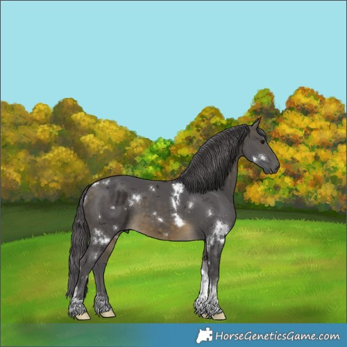 Horse Color:White Spotted Buckskin Merle Tobiano 