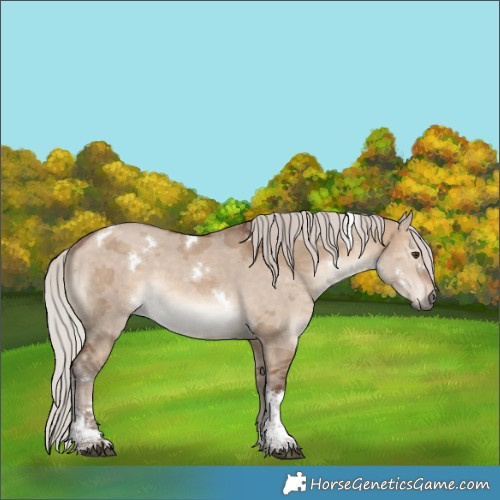 Horse Color:White Spotted Silver Bay Dun Merle Tobiano