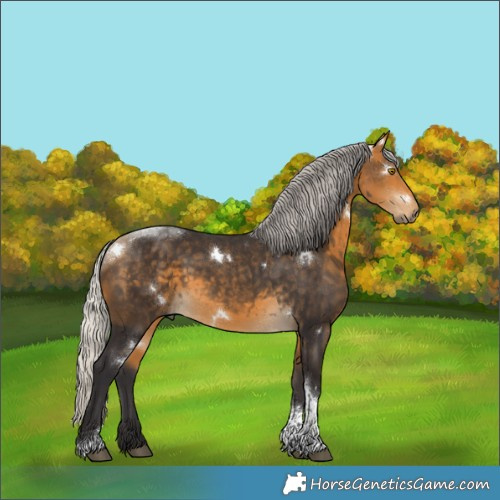 Horse Color:White Spotted Silver Buckskin Tobiano 