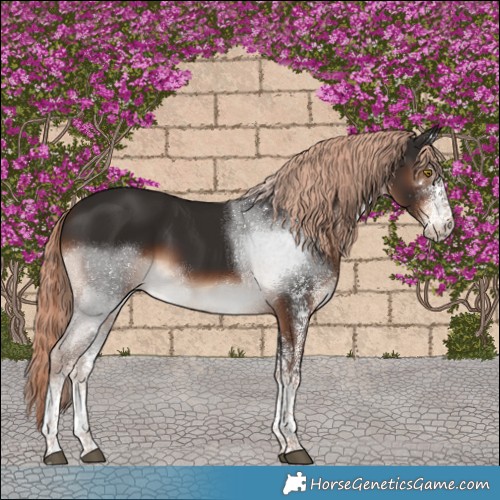 Horse Color:White Spotted Liver Chestnut Tobiano 