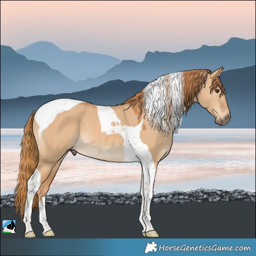 Horse Color:Red Dun Tobiano