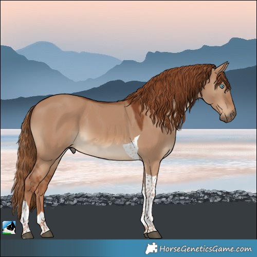 Horse Color:Red Dun Tobiano