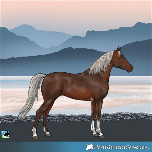 Horse Color:Silver Bay Tobiano