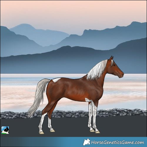 Horse Color:Silver Bay Tobiano