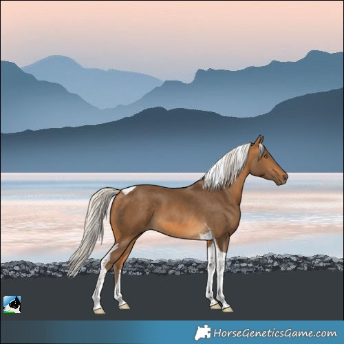 Horse Color:Silver Buckskin Tobiano