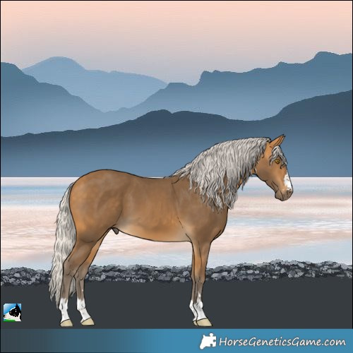 Horse Color:Silver Buckskin 