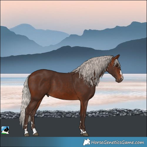 Horse Color:Silver Brown