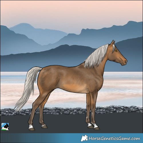 Horse Color:Silver Buckskin 