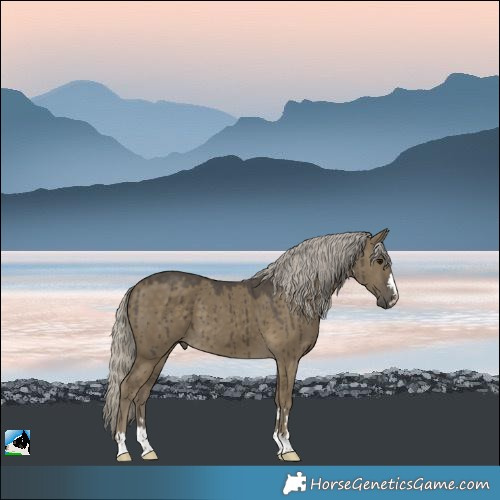 Horse Color:Silver Smoky Grullo Brindle 