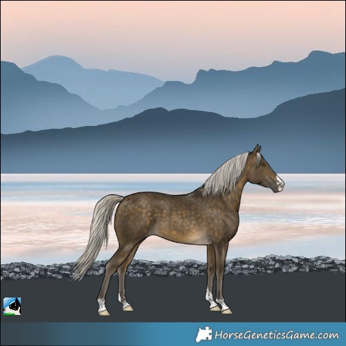 Horse Color:Silver Buckskin 