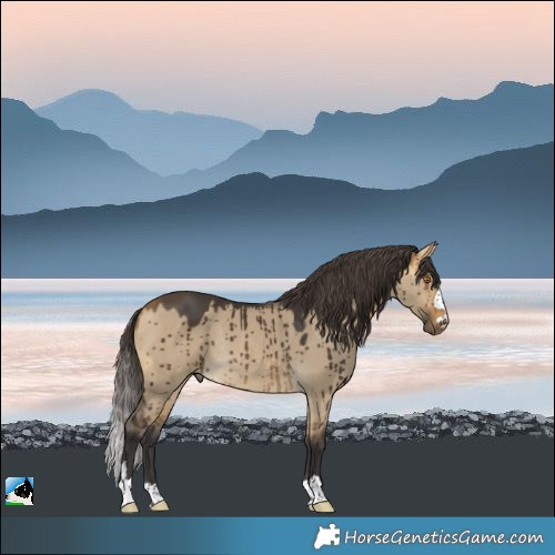 Horse Color:Buckskin Dun Rabicano Brindle 