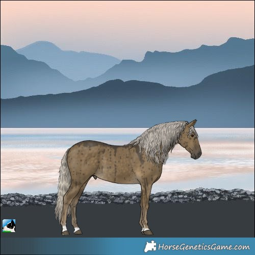 Horse Color:Silver Smoky Grullo Brindle 