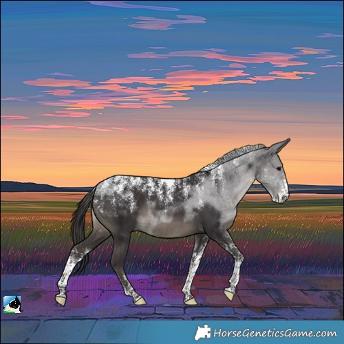 Horse Color:Powder White Smoky Black