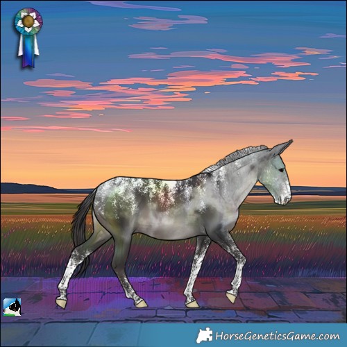 Horse Color:Powder White Smoky Black