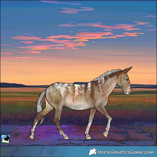 Horse Color:Powder White Silver Brown Dun Brindle 