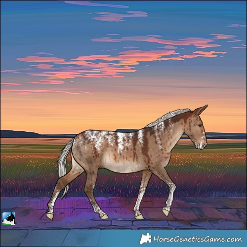 Horse Color:Powder White Silver Brown Dun Brindle