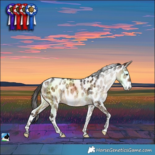 Horse Color:Powder White Brown Dun Leopard Brindle