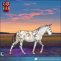 Horse Color:Powder White Brown Dun Leopard Brindle 