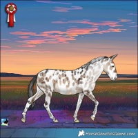 Horse Color:Powder White Brown Dun Appaloosa Brindle 