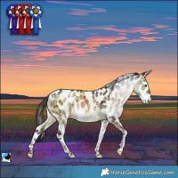 Horse Color:Powder White Brown Dun Leopard Brindle 