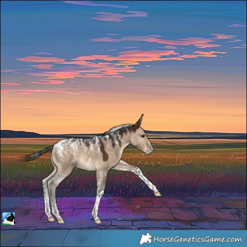 Horse Color:Powder White Brown Dun