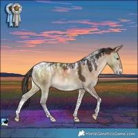 Horse Color:Powder White Brown Dun