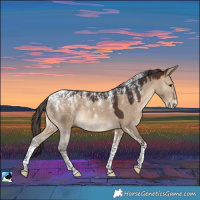 Horse Color:Powder White Brown Dun