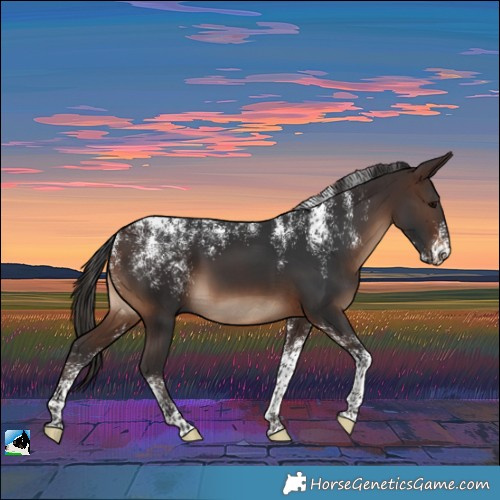 Horse Color:Powder White Brown 