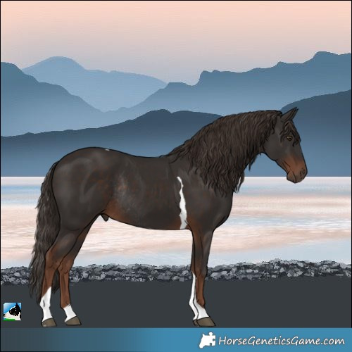 Horse Color:Liver Chestnut Tobiano Rabicano