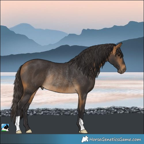Horse Color:Buckskin Rabicano 