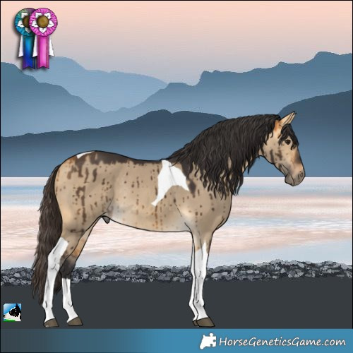 Horse Color:Buckskin Dun Tobiano Rabicano Brindle