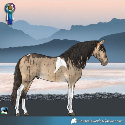Horse Color:Buckskin Dun Tobiano Rabicano Brindle 