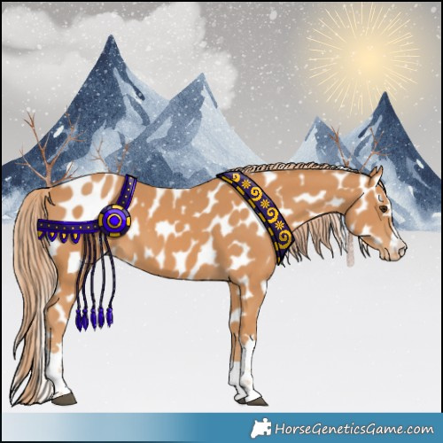 Horse Color:Chestnut Leopard