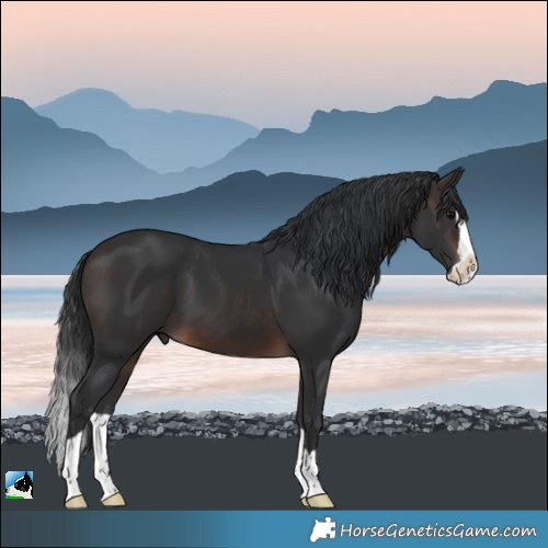 Horse Color:Brown Splash 