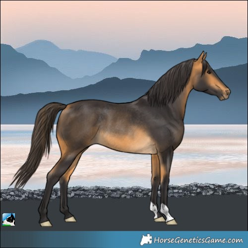 Horse Color:Buckskin Rabicano 