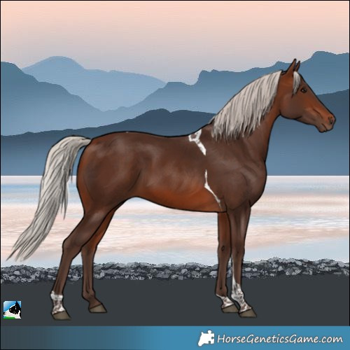 Horse Color:Silver Brown Tobiano Rabicano 