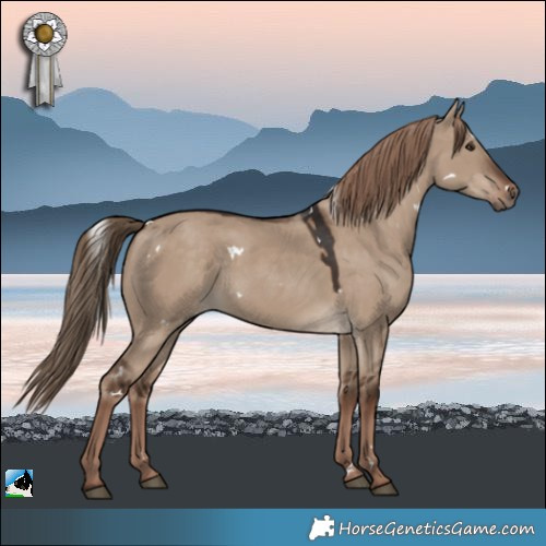 Horse Color:White Spotted Liver Red Dun 