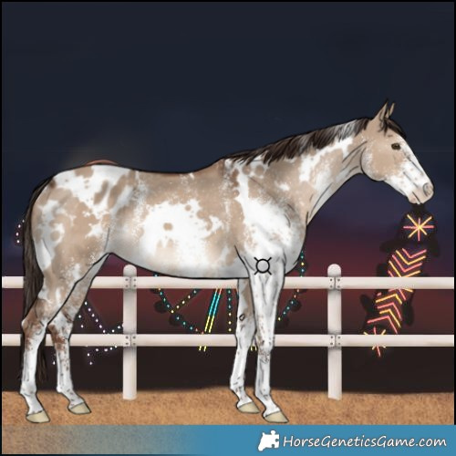 Horse Color:White Spotted Liver Red Dun Blanket Rabicano 
