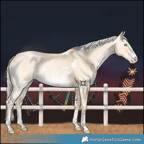 Horse Color:White Spotted Silver Brown Snowdrop Dun Sabino Rabicano 