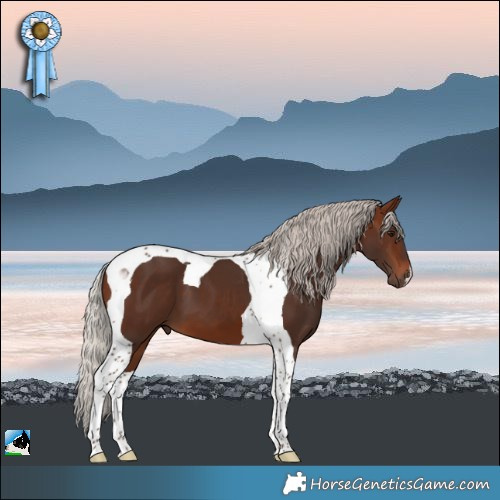 Horse Color:Silver Brown Tobiano