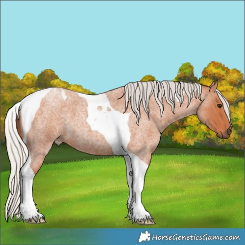 Horse Color:Silver Bay Roan Tobiano 