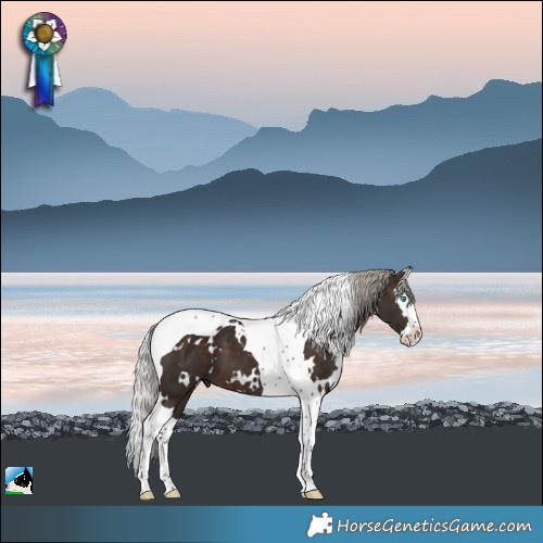 Horse Color:White Spotted Silver Brown Splash Tobiano 