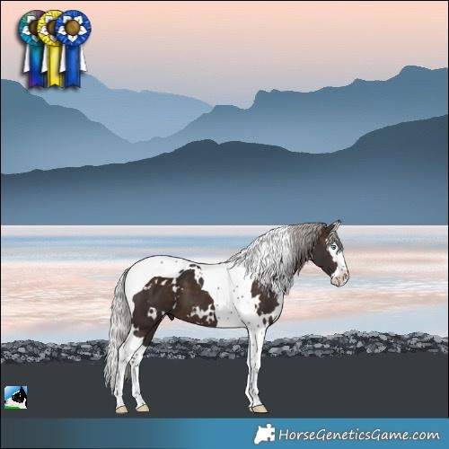 Horse Color:White Spotted Silver Brown Splash Tobiano